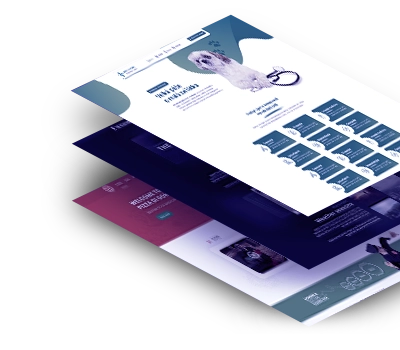 Ready to Go Websites